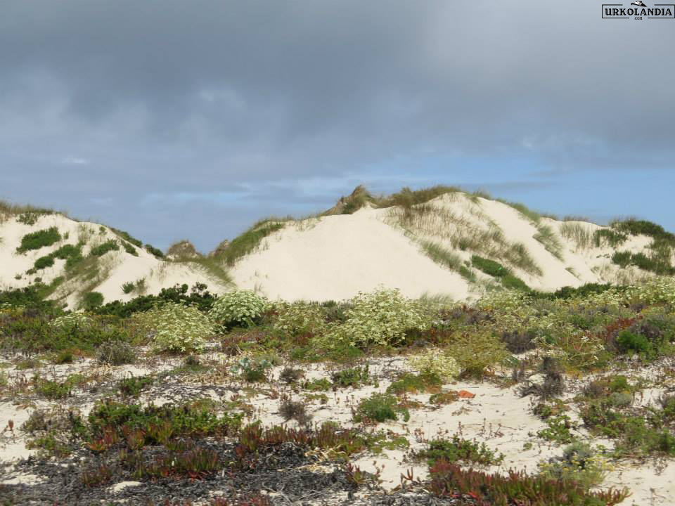 dunas peniche
